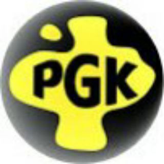 Pss Gamer King