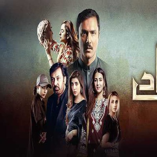 Pakistani Top Dramas