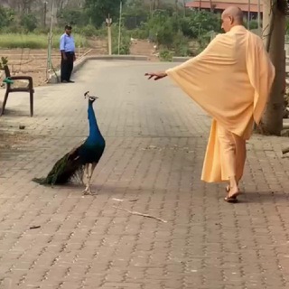 HH Radhanath Swami Maharaj Lectures