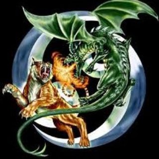 DRAGON VS TIGER PREDICTION