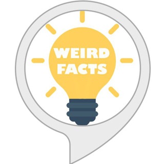 Weird Facts 🧠