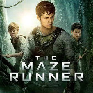 The Maze Runner