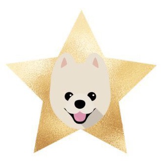 ⭐️ Pomeranian Star ⭐️