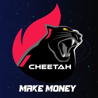 334️⃣Cheetah make money network