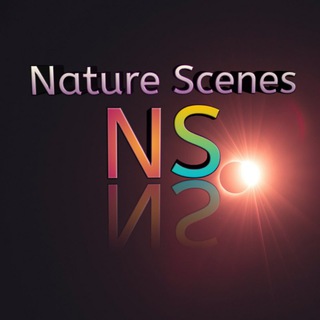 Nature Word Scane 8k Ultra Hd