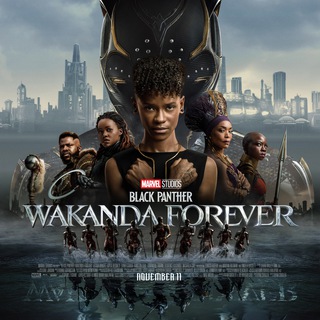 Black Panther: Wakanda Forever Movie Hindi