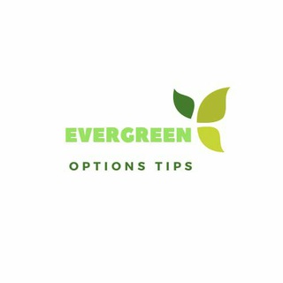 Evergreen Options Tips