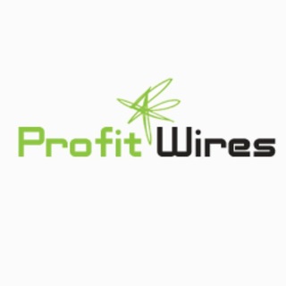 PROFIT WIRES [ equity ]