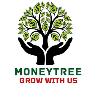 MoneyTree - Free Intraday Option King