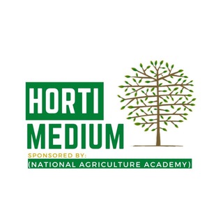 Horti Medium