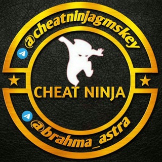 Cheat Ninja Hub